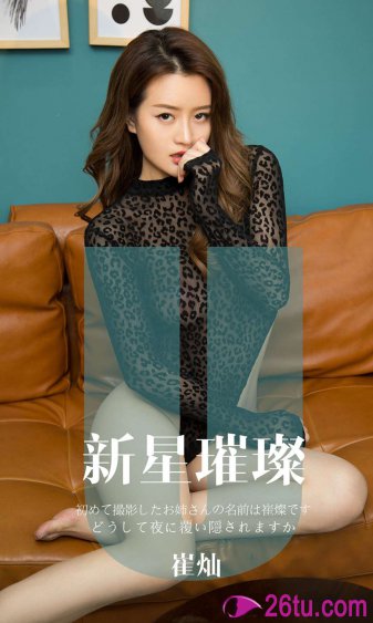 驯服小姨子2